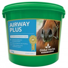 Global Herbs Airways Plus Powder 1kg