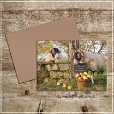 Kitchy & Co Greetings Card Scrumping Apples