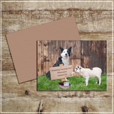 Kitchy & Co Greetings Card Sheepdog Training