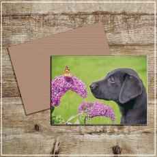 Kitchy & Co Greetings Card Always Take Time To Smell The Flowers