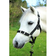 Gallop Headcollar And Lead Rope Set