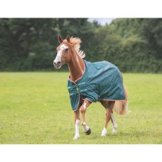 Shires Typhoon Lite Turnout Rug