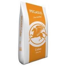 Spillers Pegasus Value Cubes - 20kg