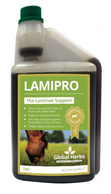 Global Herbs Global Herbs Lamipro Liquid 1l