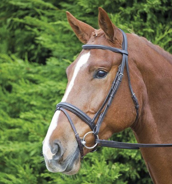 Robinsons Equestrian Clothing Horse & Riding Equipment Robinsons