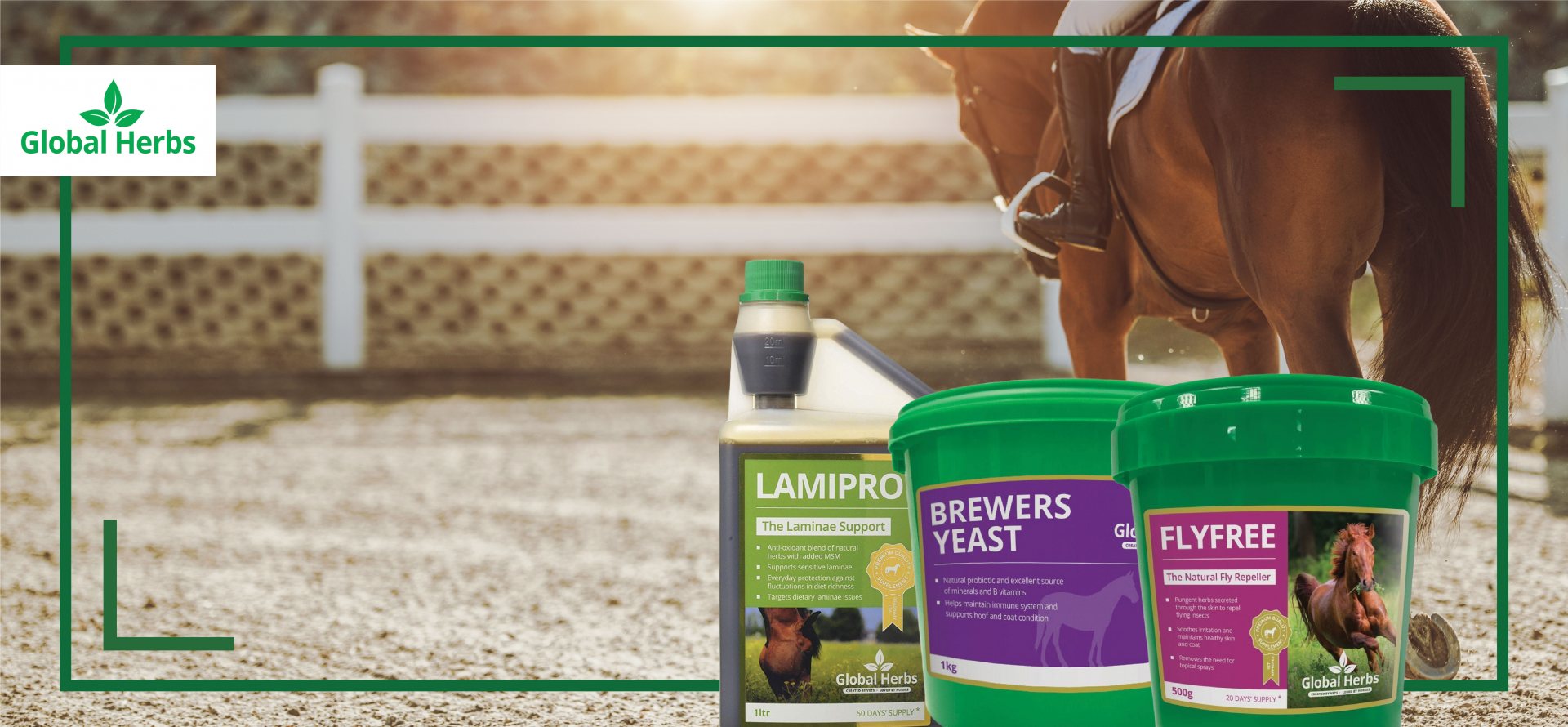 Robinsons Equestrian Clothing Horse & Riding Equipment Robinsons