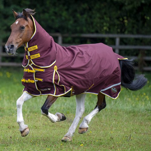 Horse Rugs