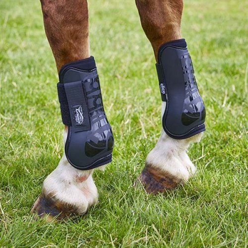 Tendon & Fetlock