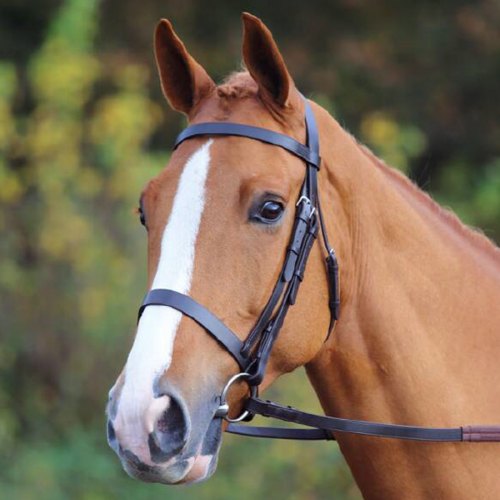 AVIEMORE DRAW REINS HORSE EQUESTRIAN RIDING TACK 