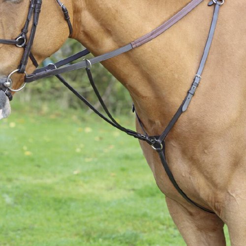 Martingales & Breastplates