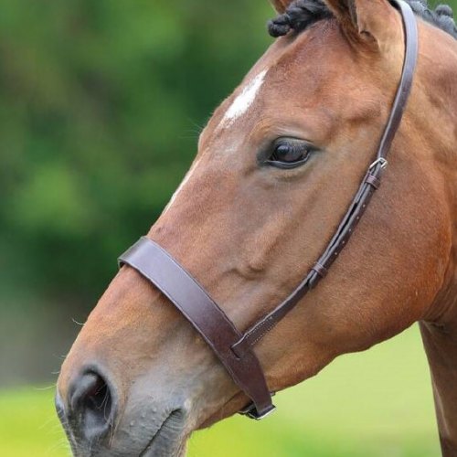 Nosebands