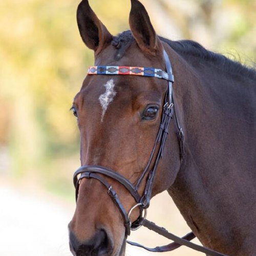 Browbands