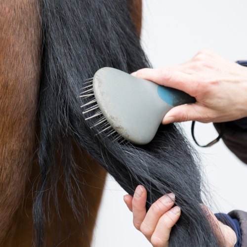 Manes, Tails & Trimming