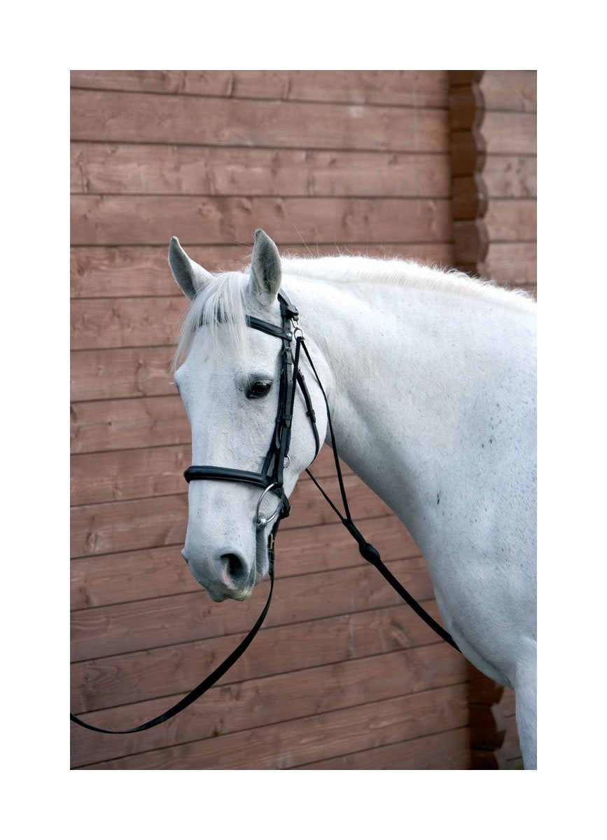 Hy Chambon Training Aid Robinsons Equestrian