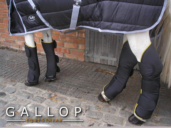 Gallop Travel Boots Robinsons Equestrian