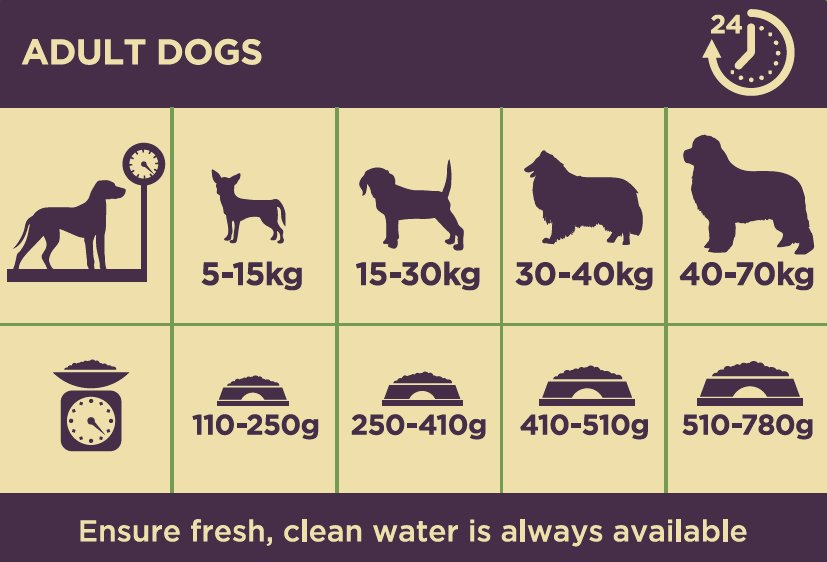 Burgess Sensitivelamb/rice 2kg Dog Food Robinsons Equestrian