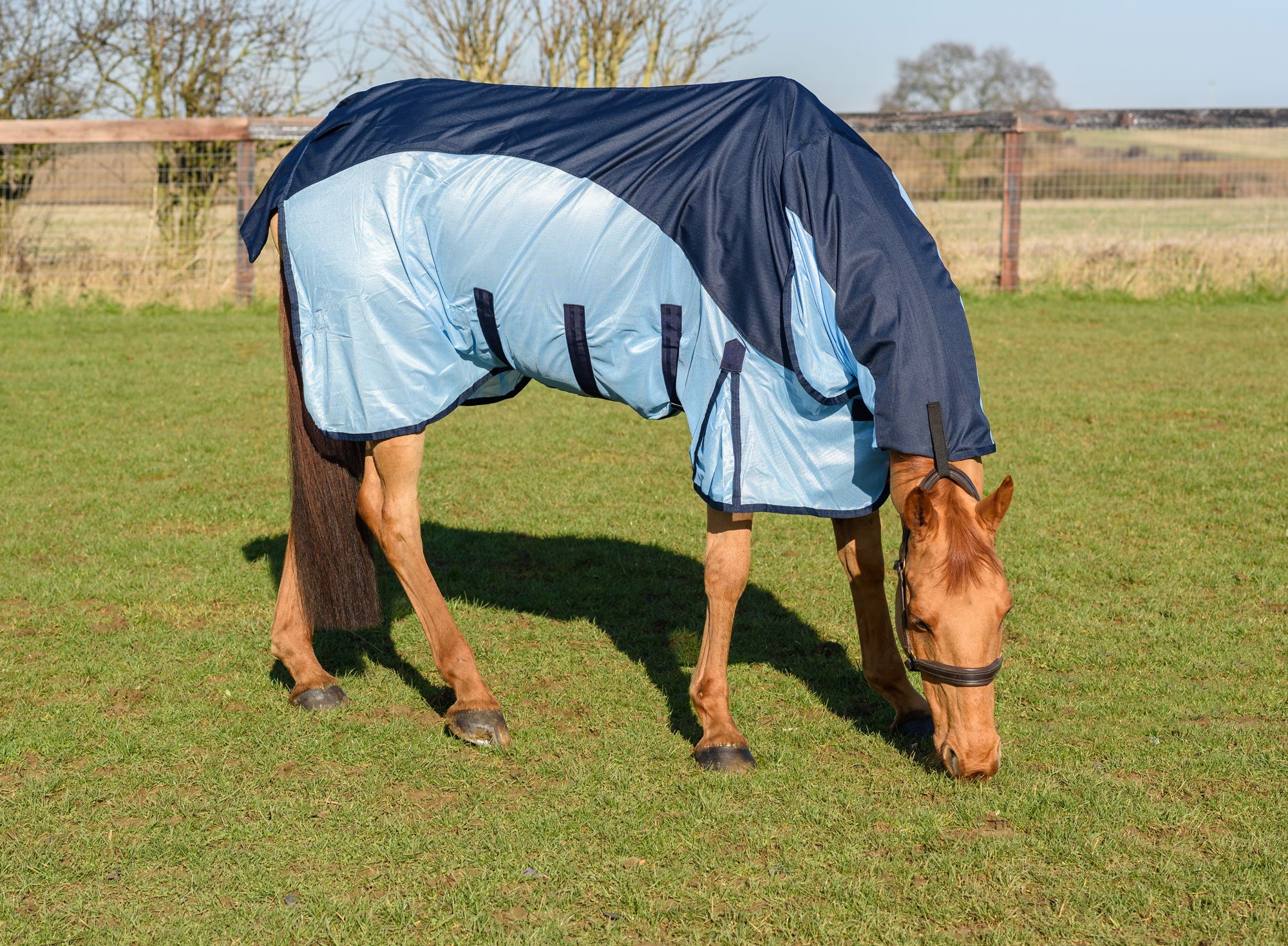 Equestrian King Hybrid Fly Rug Waterproof Back Robinsons Equestrian