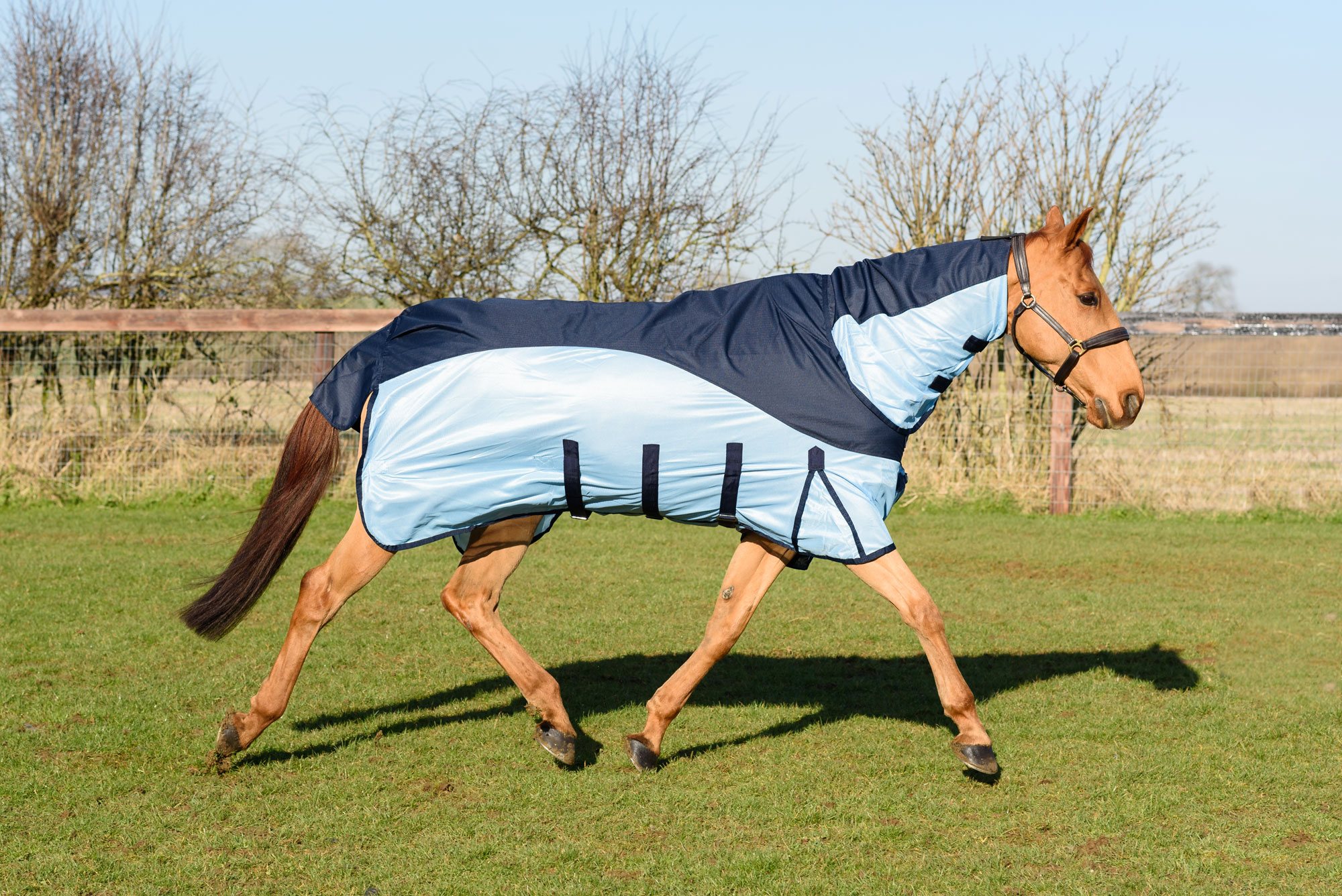 Equestrian King Hybrid Fly Rug Waterproof Back Robinsons Equestrian