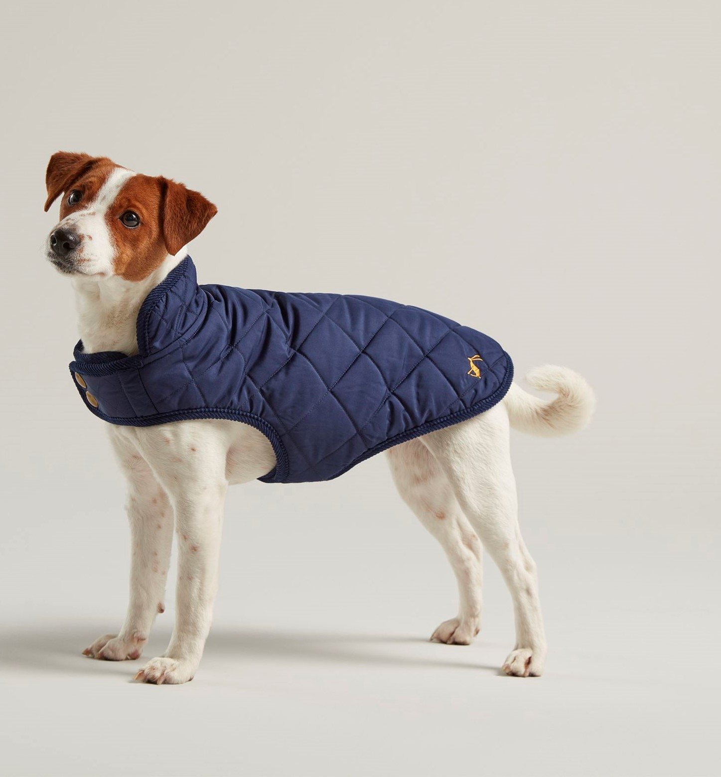 Joules Quilted Dog Coat Robinsons Equestrian