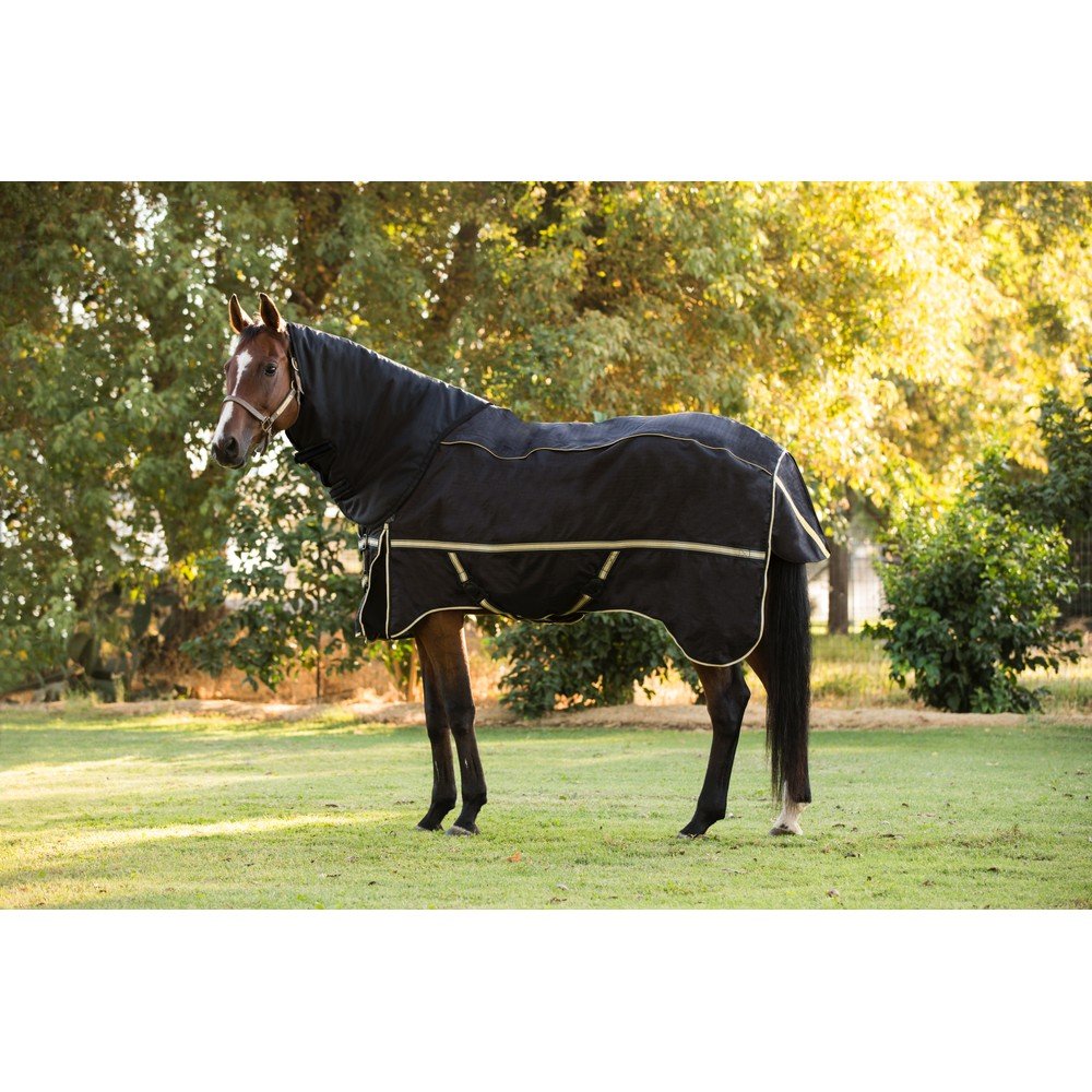 Noble 4 In 1 Neck Cover Only Robinsons Equestrian