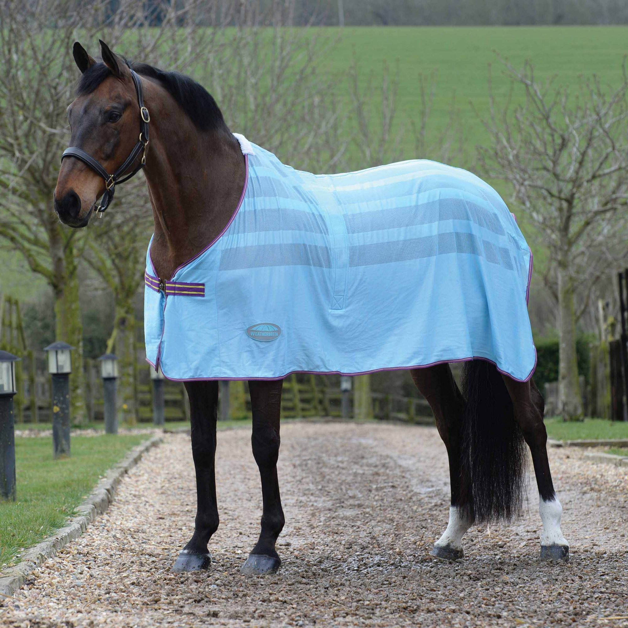 Country Pride Fitted Scrim Fly Sheet For Horses - Lightweight Mesh Fly Protection In Blue, Size X-Large