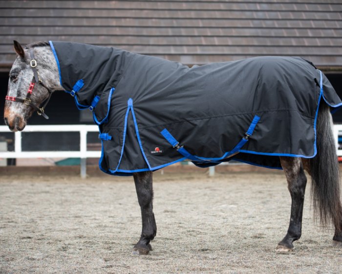 Equestrian King 350 Combo Turnout Rug Robinsons Equestrian