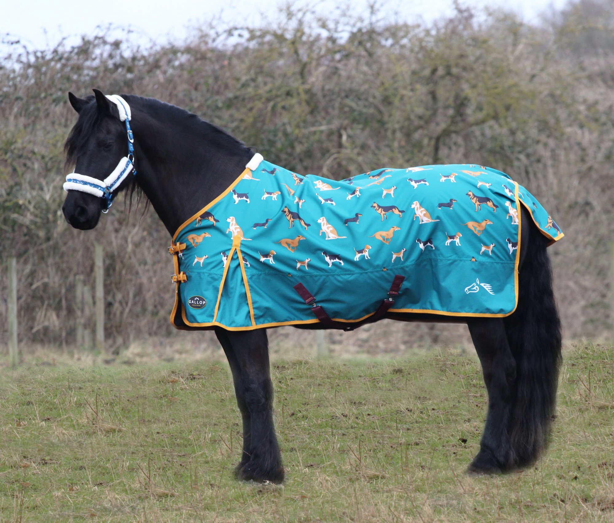 Gallop Dogs Print 100g Turnout Rug Robinsons Equestrian