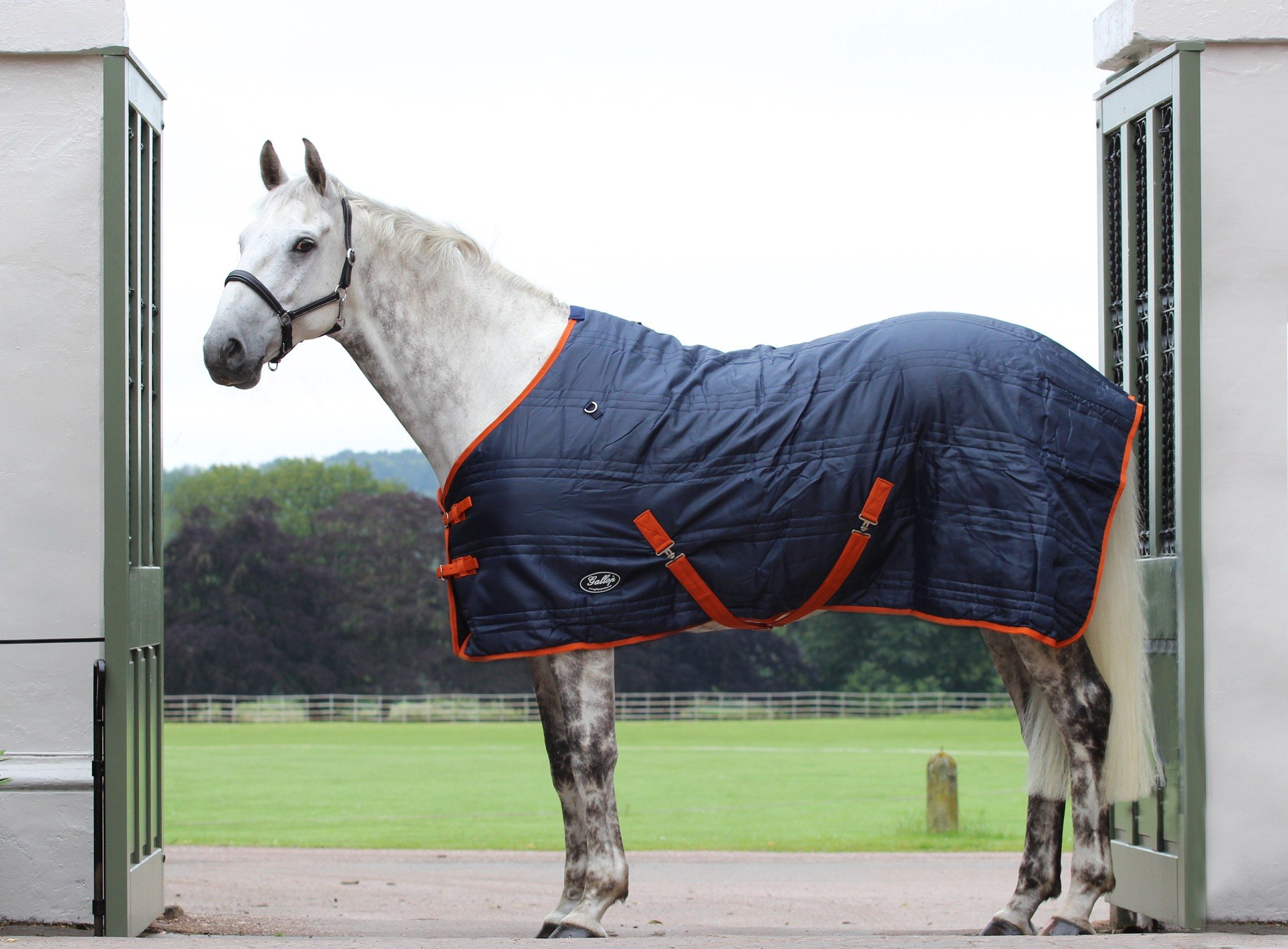 Gallop Defender 100g Stable Rug Robinsons Equestrian