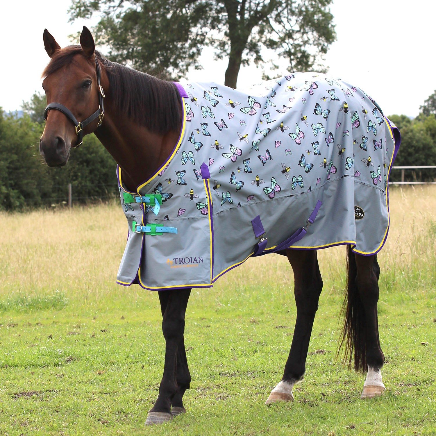 Gallop Bees & Butterflies Lightweight Turnout Rug Robinsons Equestrian