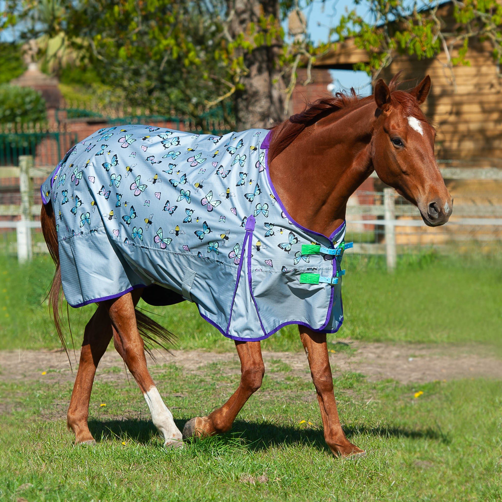 Gallop Bees & Butterflies Lightweight Turnout Rug Robinsons Equestrian