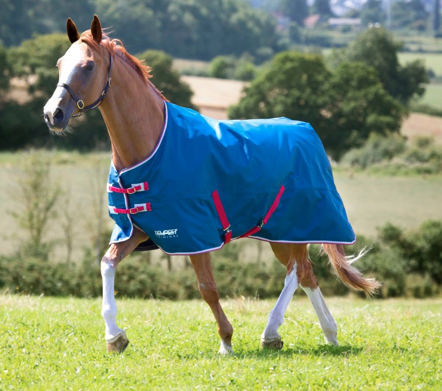 Shires Tempest Orignal Lite Turnout Rug Robinsons Equestrian