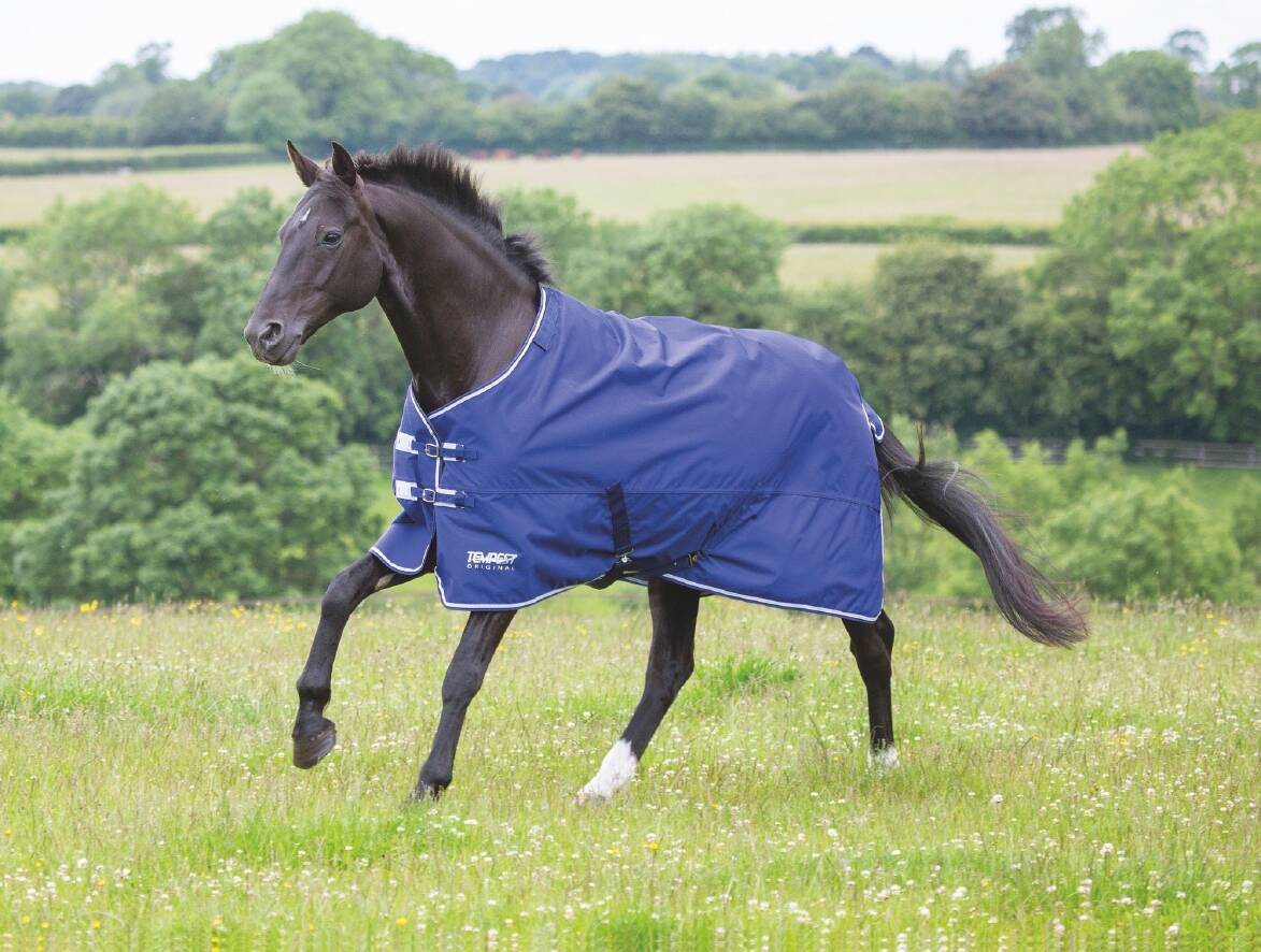 SHIRES TEMPEST ORIGNAL LITE TURNOUT RUG NAVY/GREY Robinsons Equestrian