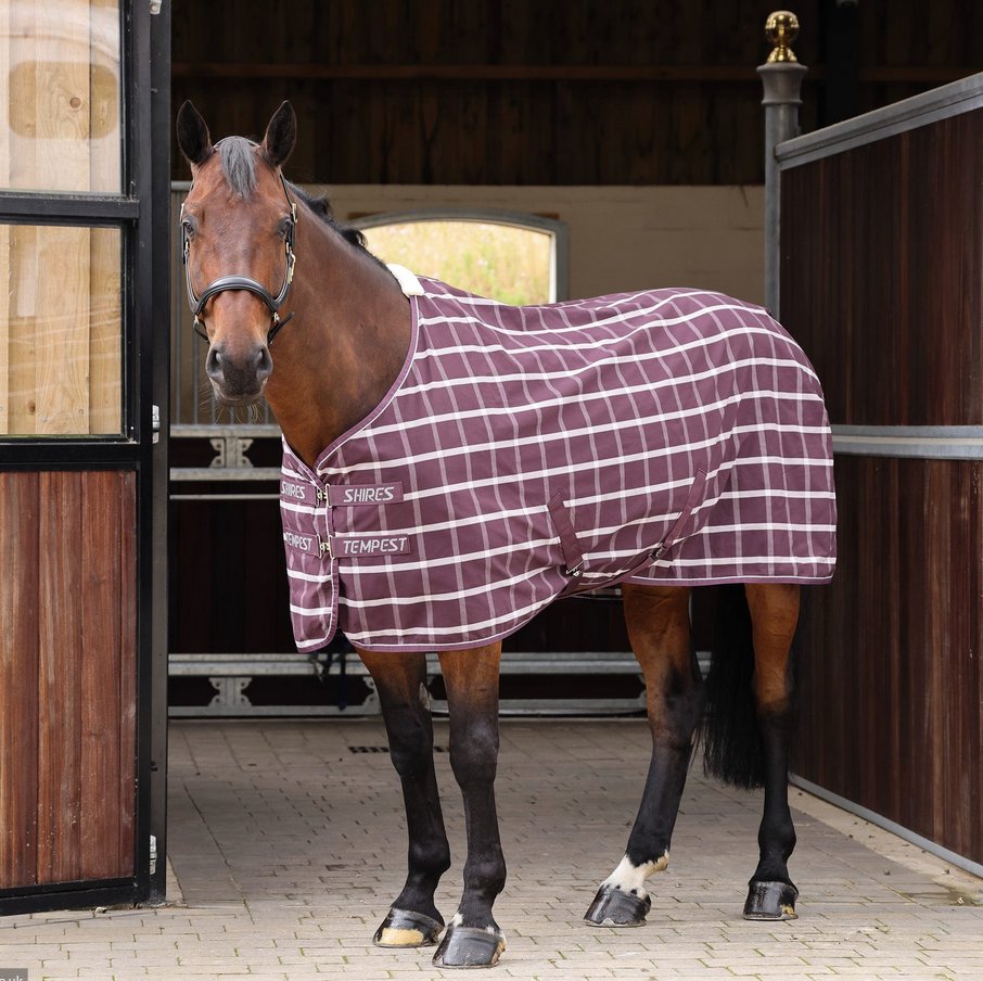 Set Tappeto E Collo Shires Tempest Original 50 - Blu Navy