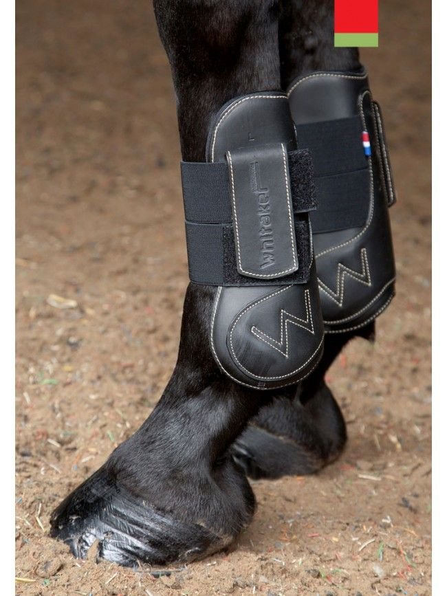 Riding Set Of 2 Tendon 2 Fetlock Boots For Horses - Burgundy - View #5
