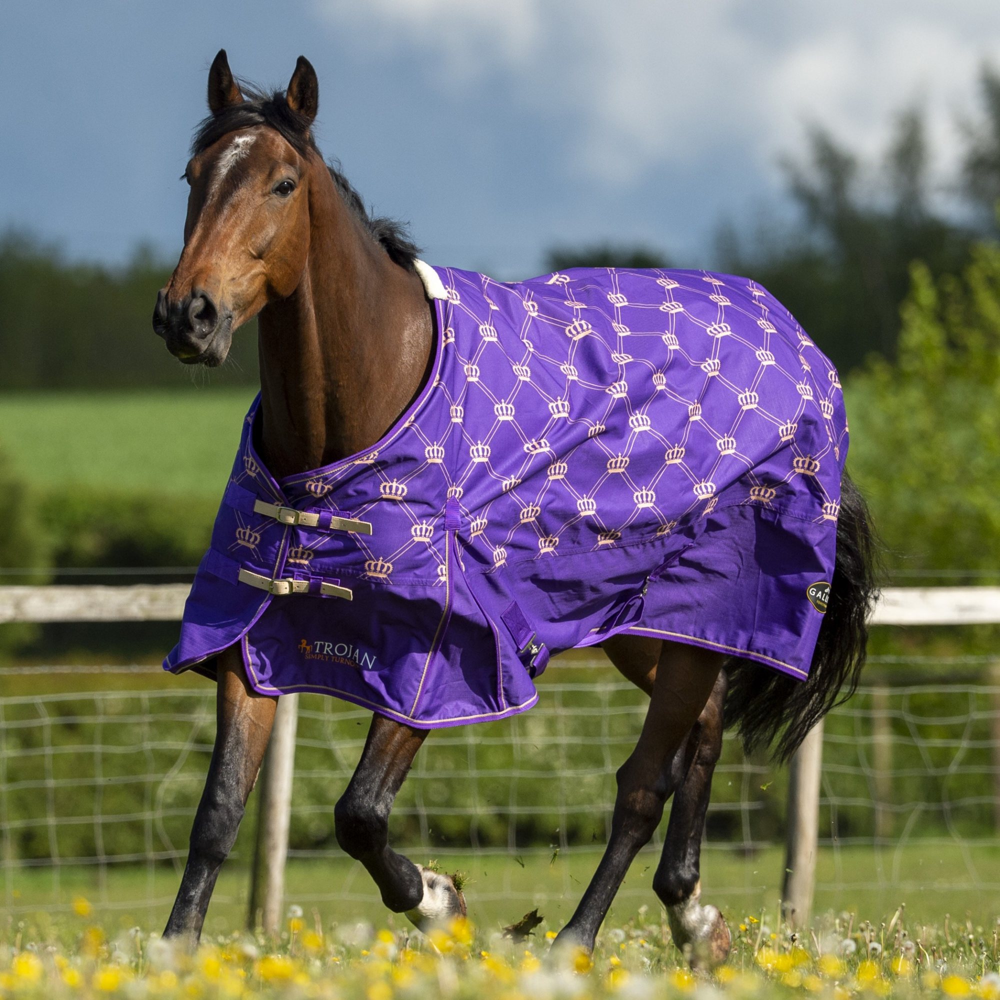 Coperta Da Esterno Gallop Trojan 100 Affluenza, Collo Standard, Taglia 771 - Impermeabile