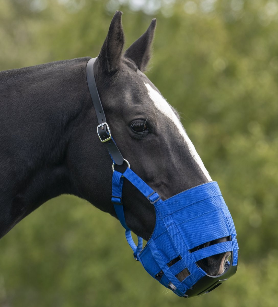 Ultimate Horse And Pony Grazing Muzzle Robinsons Equestrian
