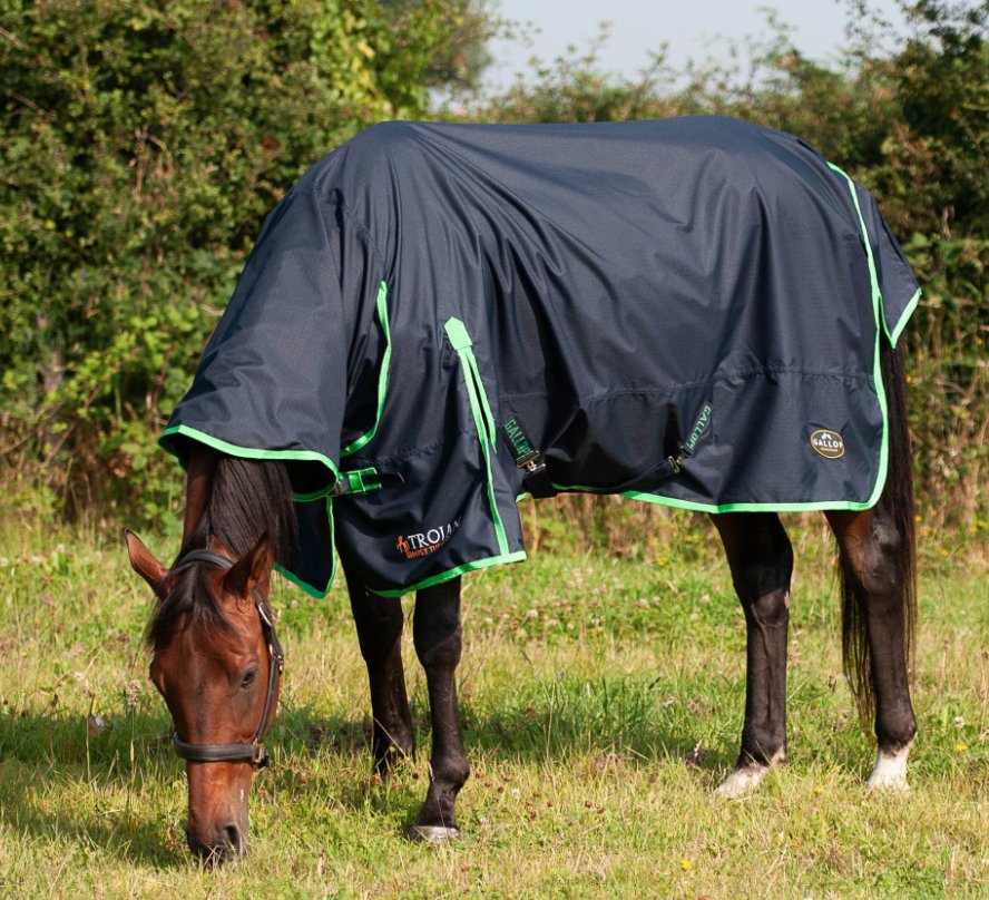 Gallop Trojan 100g Tappeto Da Taglio Per Cavallo - 155cm - Foto 2