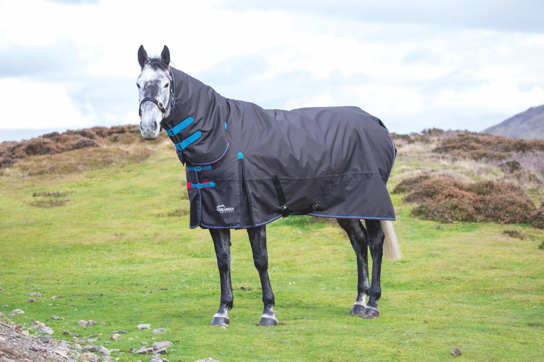 Shires Highlander Original 200g Combo Turnout Rug - Robinsons Equestrian