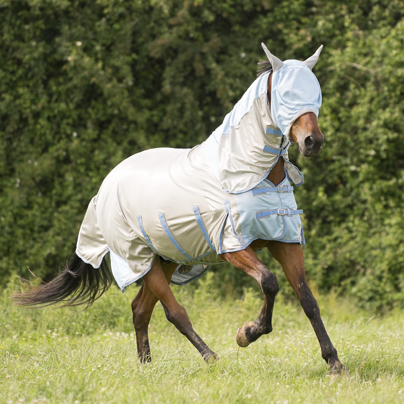 Gallop Full Neck Fly Rug White with Navy Straps 