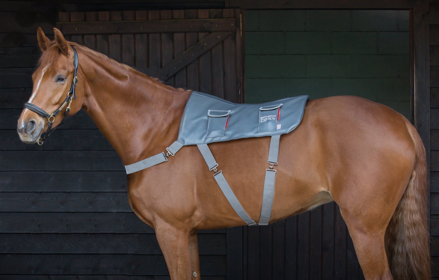 mounty massage pad mounty massage pad