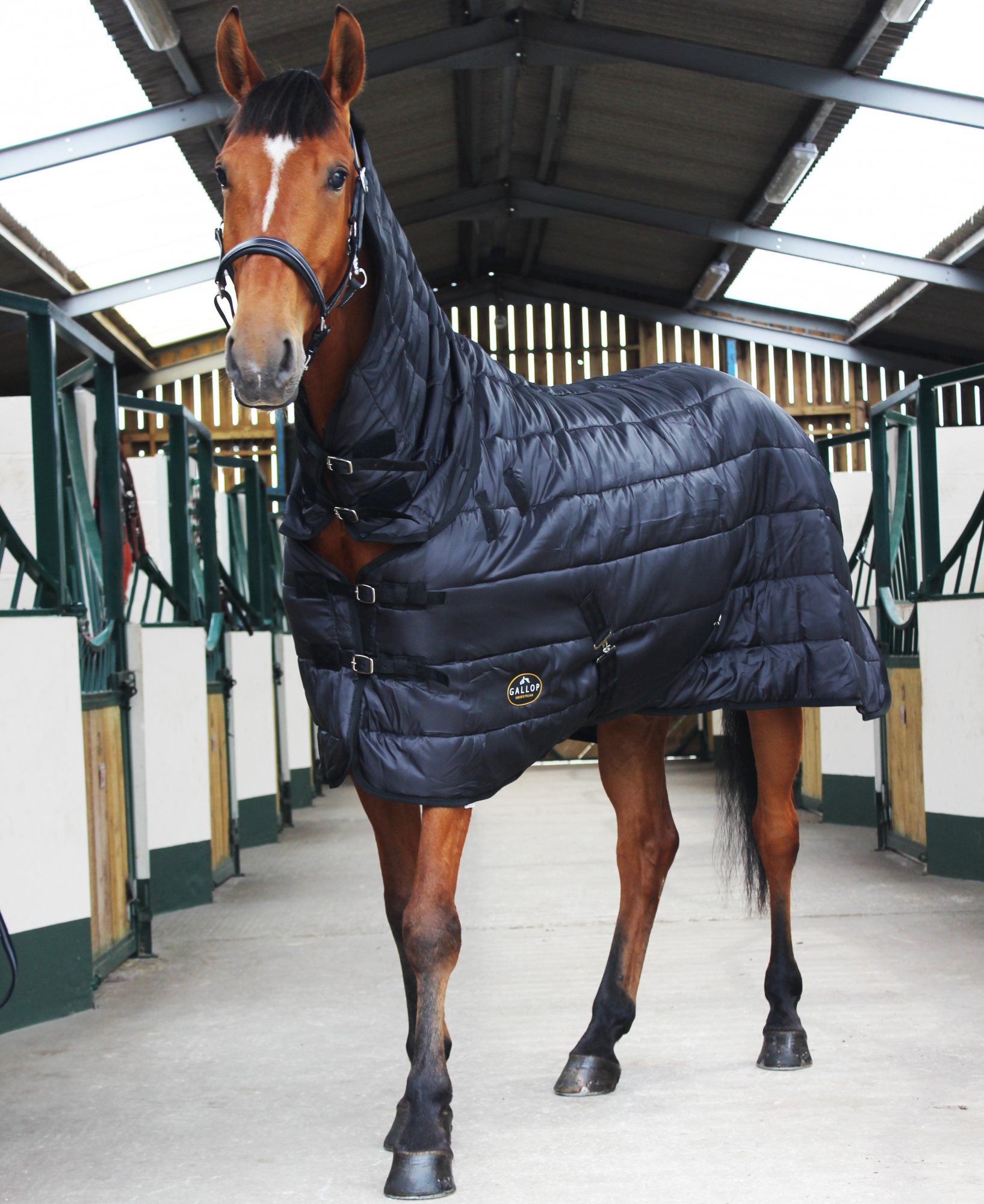 Gallop Trojan Dual 300g Heavyweight Quilt Horse Indoor Stable - View #6
