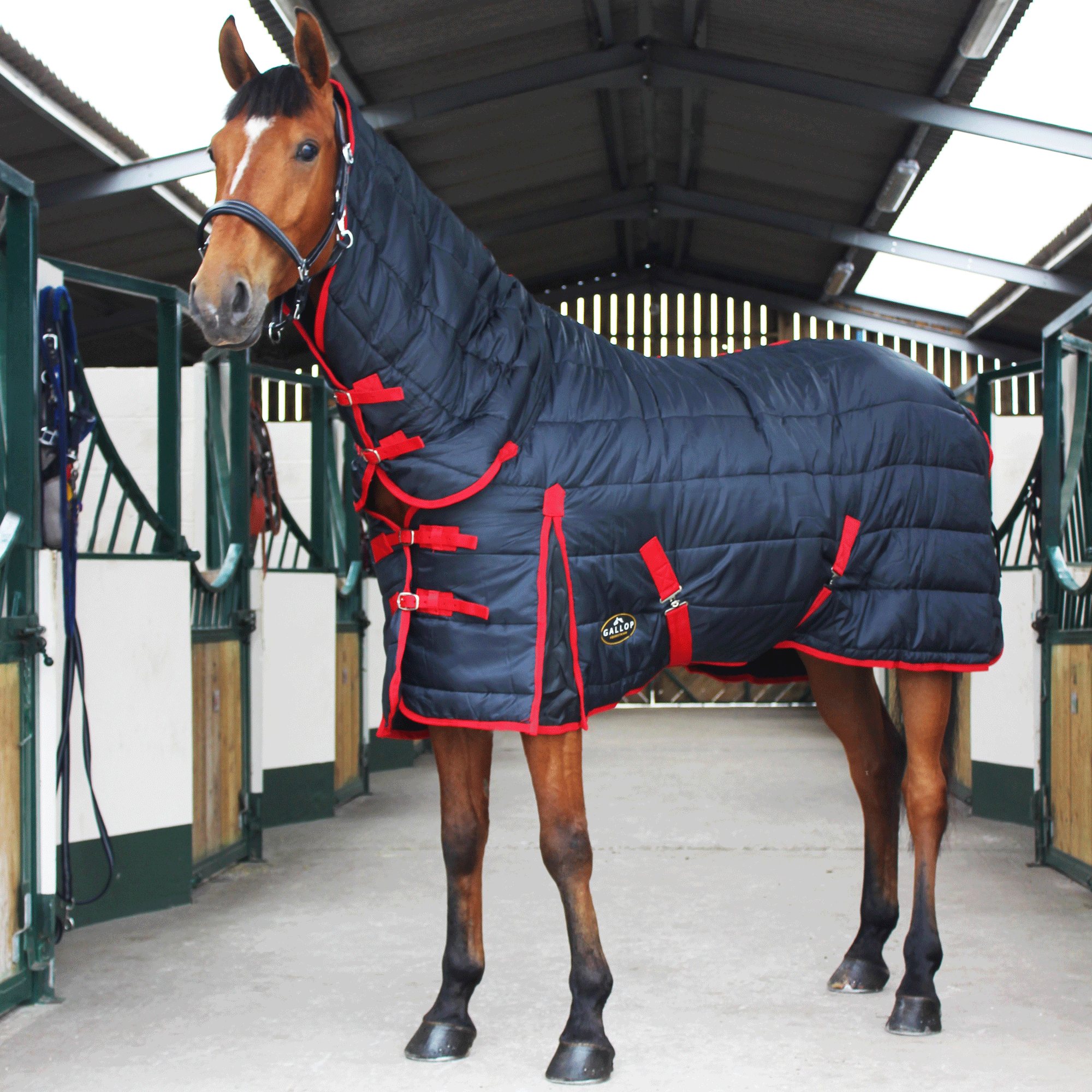 Gallop Maverick 300 Combo Stable Rug Robinsons Equestrian
