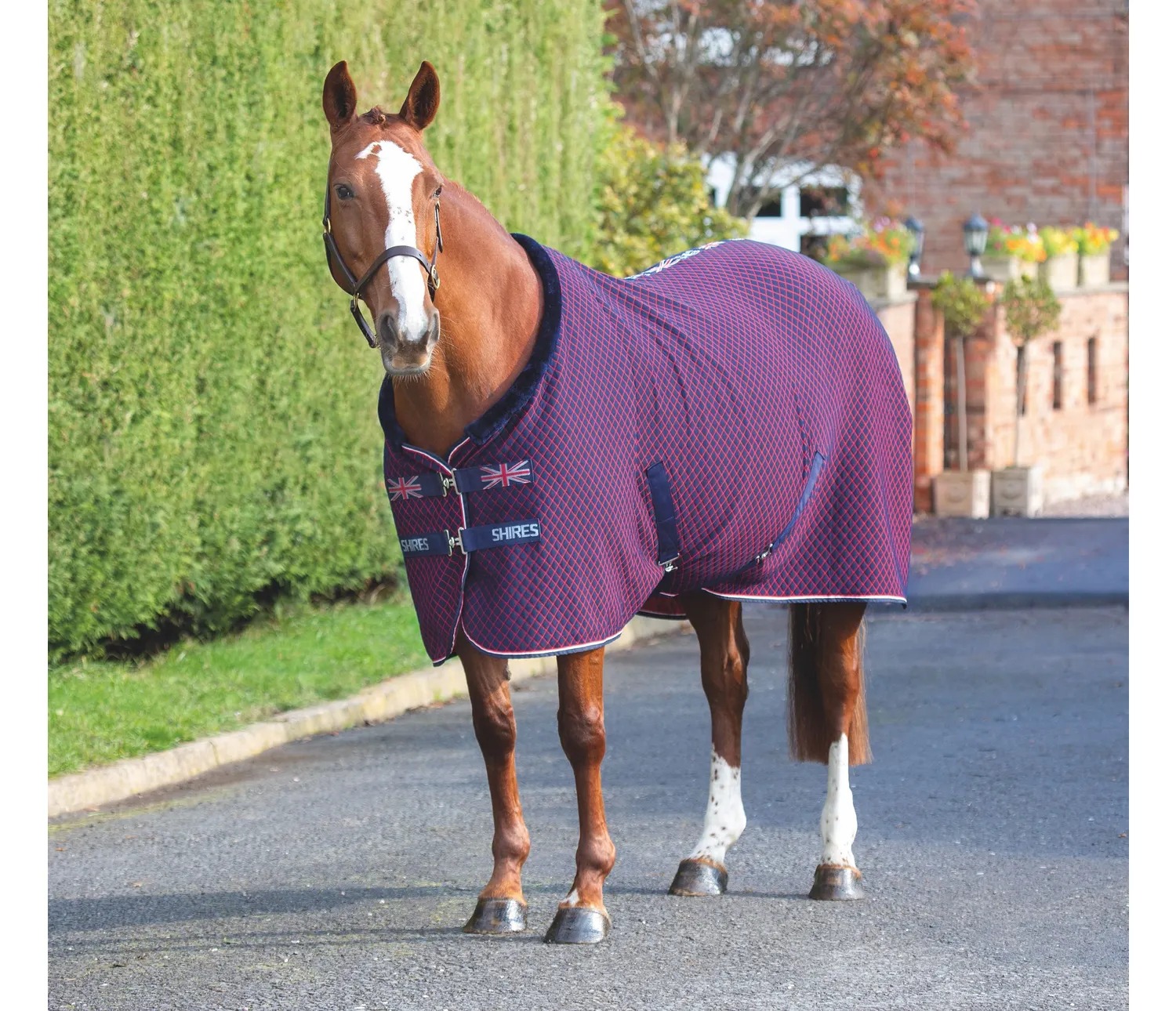 Shires Tempest Original Team Shires Rug - Robinsons Equestrian