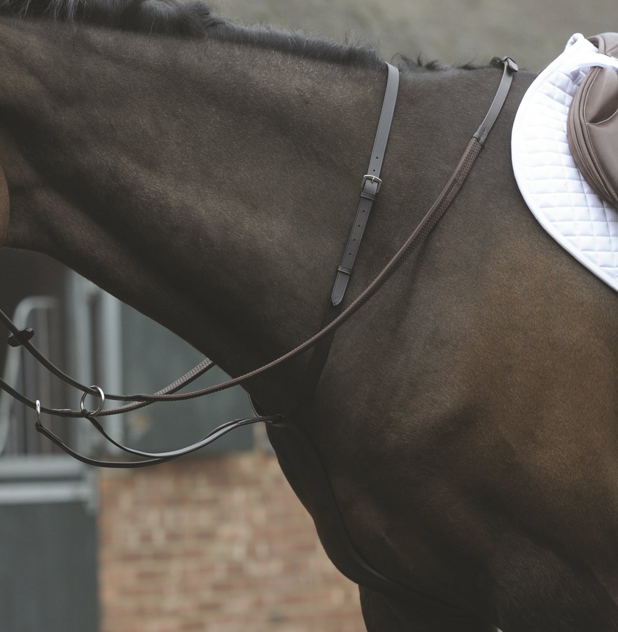 Kincade Running Martingale Robinsons Equestrian