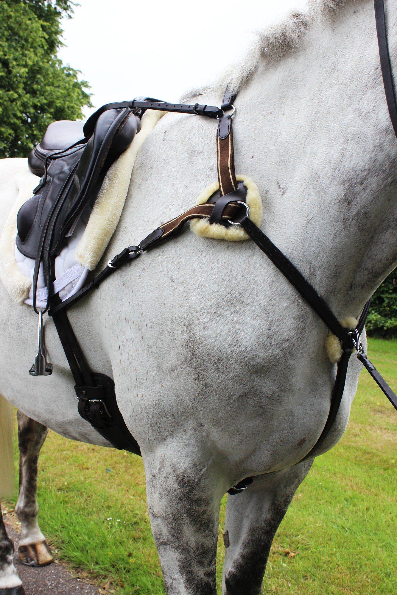 Gallop Leather 5 Point Breastplate Robinsons Equestrian