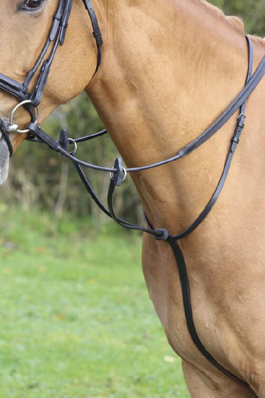 AVIEMORE RUNNING MARTINGALE Robinsons Equestrian