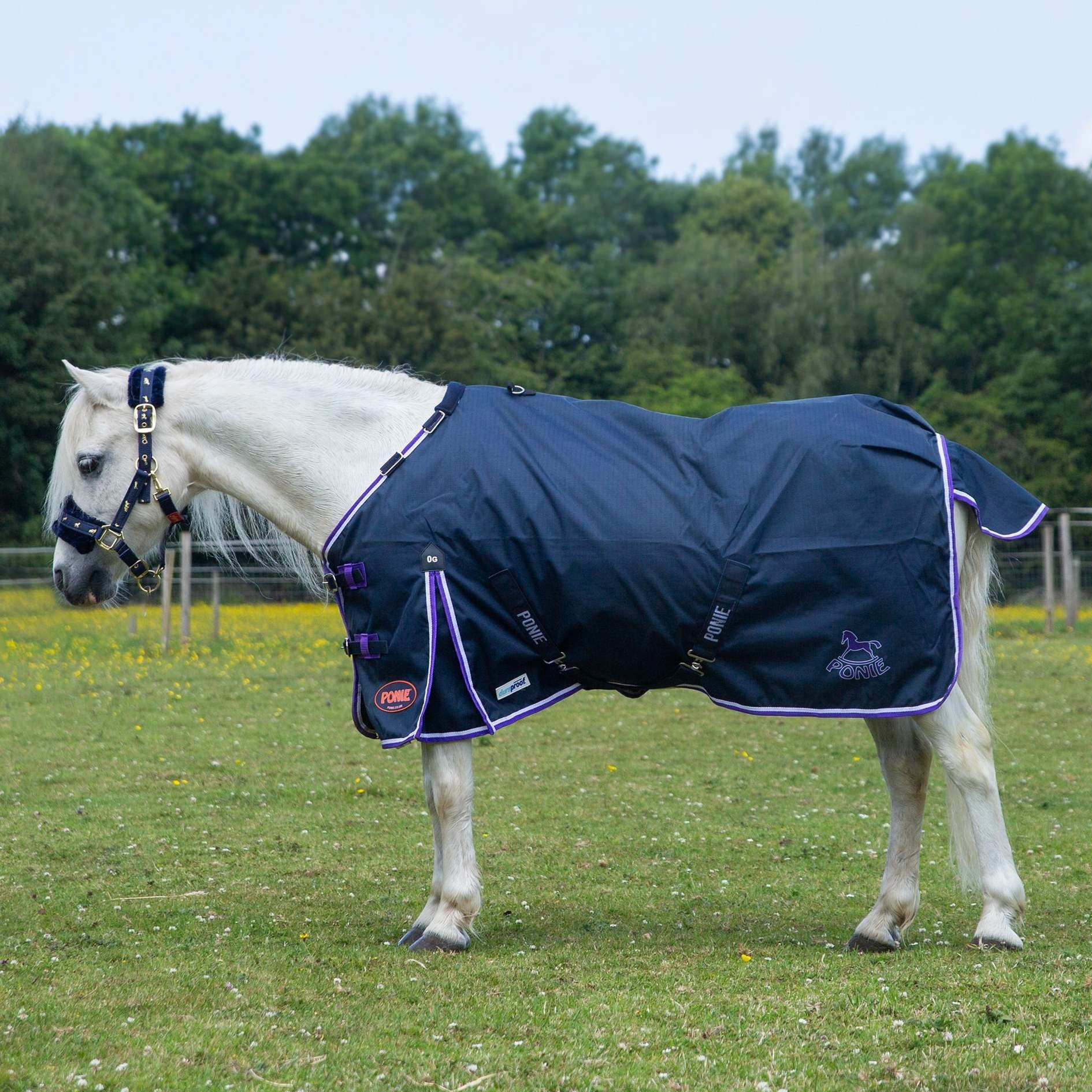 Lightweight Waterproof Turnout Rug For Sale | UK - View #11