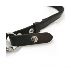 Equilibrium Stellar Head Collar