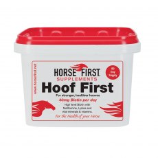 Horse First Hoof First