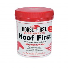 Horse First Hoof First